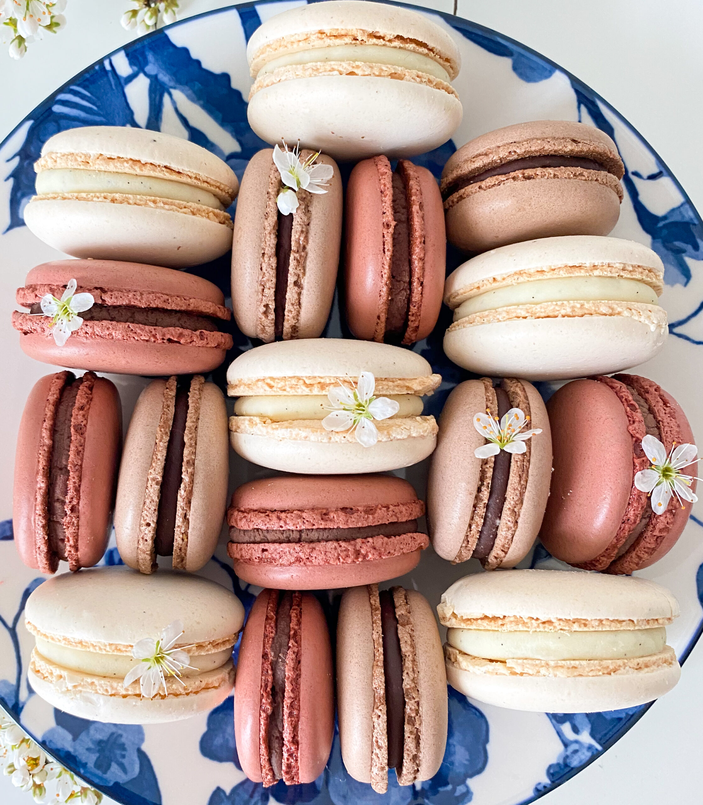 Macarons Deliciae Patisserie