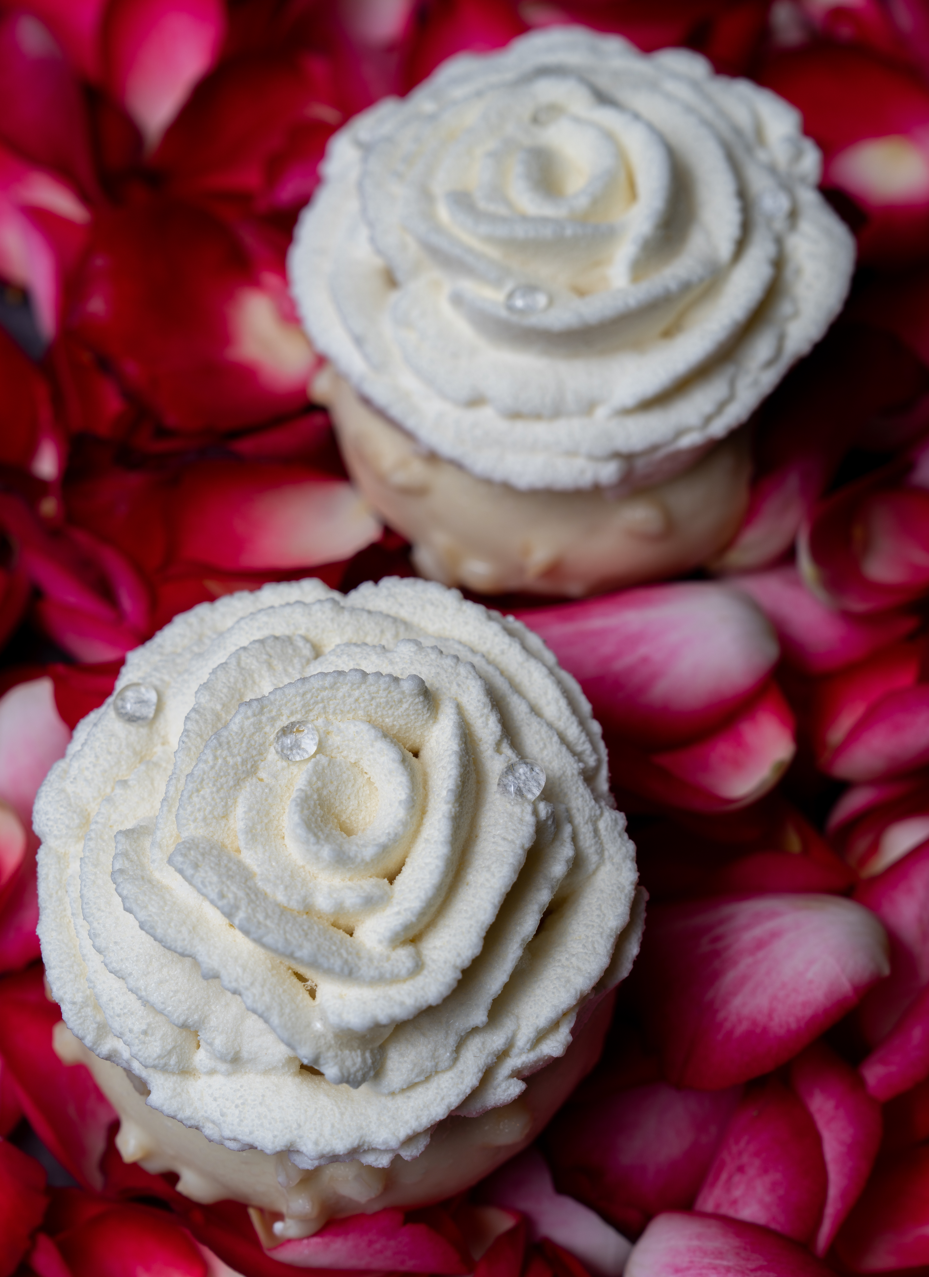Rose Saint Valentin